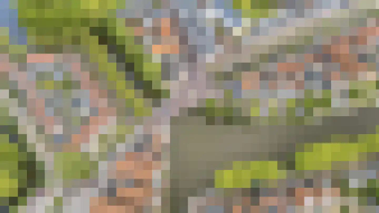 Westerbolwerk 1 Franeker thumbnail 8