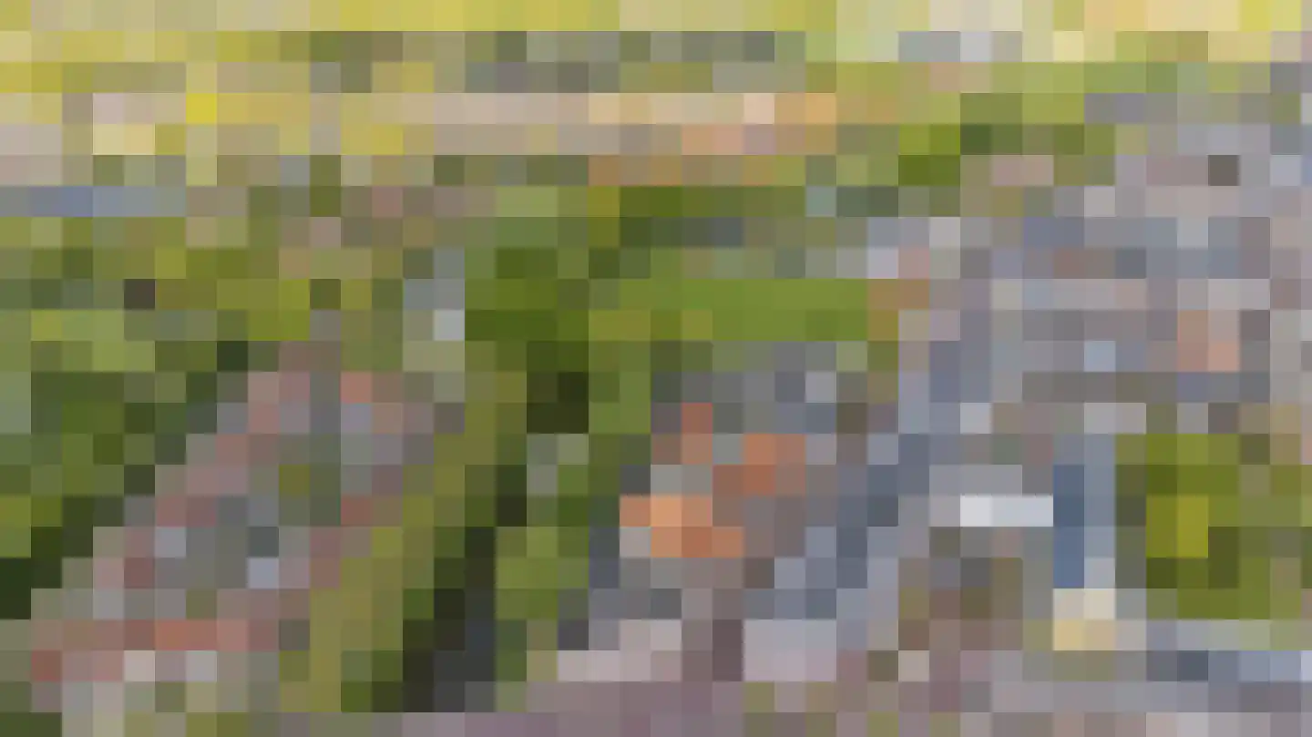 Westerbolwerk 1 Franeker thumbnail 9