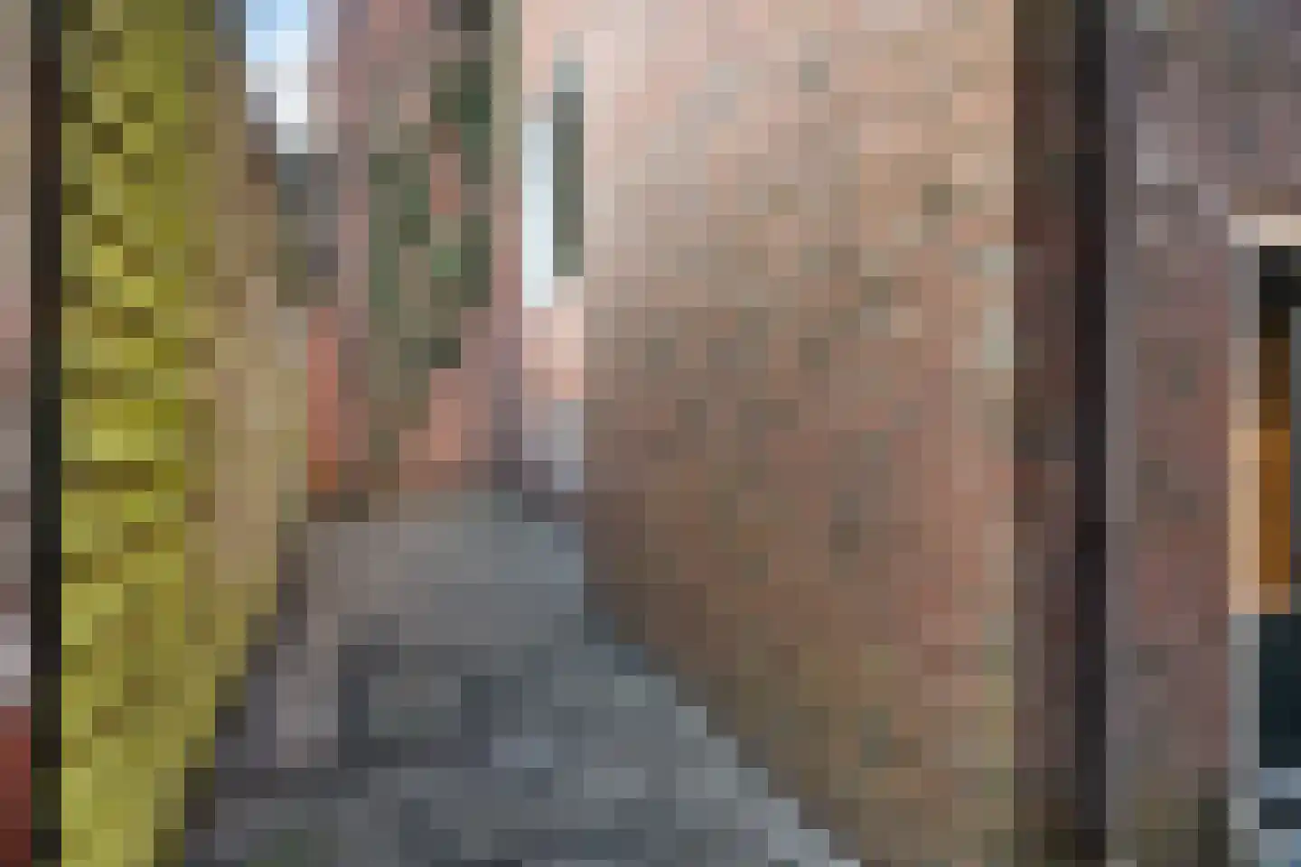 Westerbolwerk 40 Dokkum thumbnail 27
