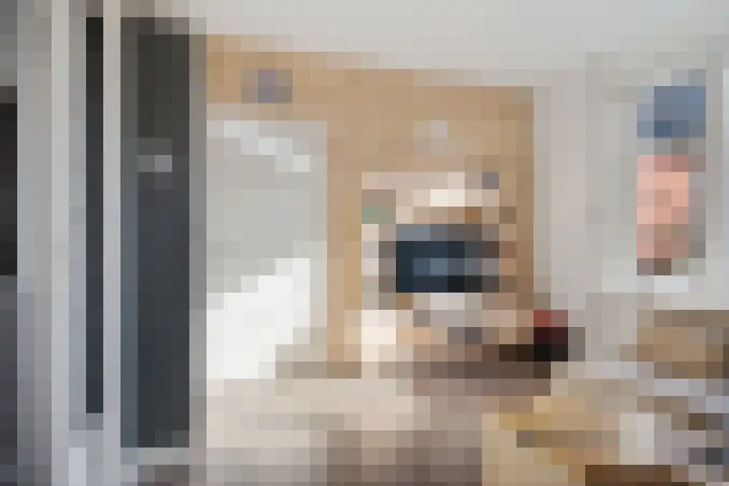 Westerbolwerk 40 Dokkum thumbnail 8