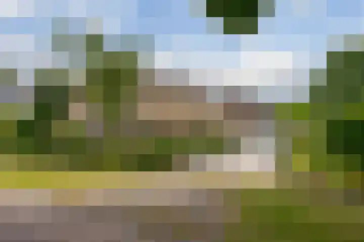 Westerborkerstraat 20 Elp thumbnail 5