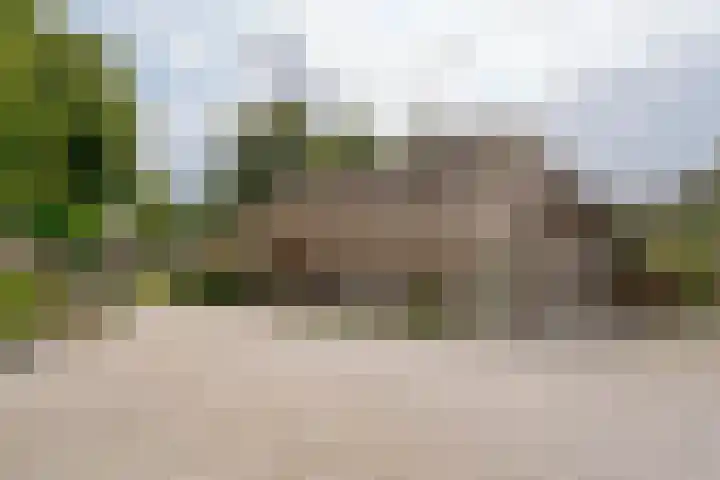 Westerborkerstraat 20 Elp thumbnail 6