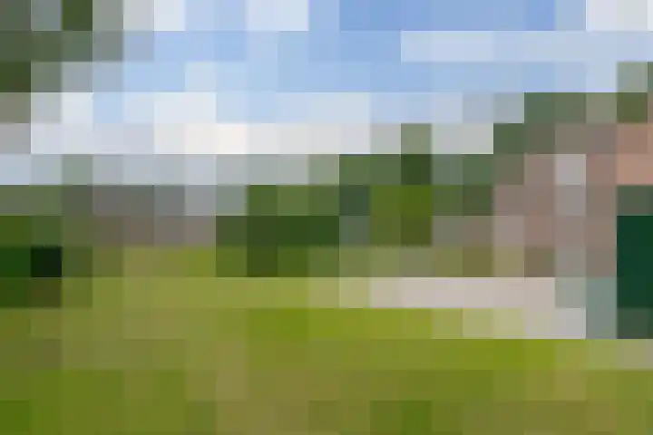 Westerborkerstraat 25 Elp thumbnail 7