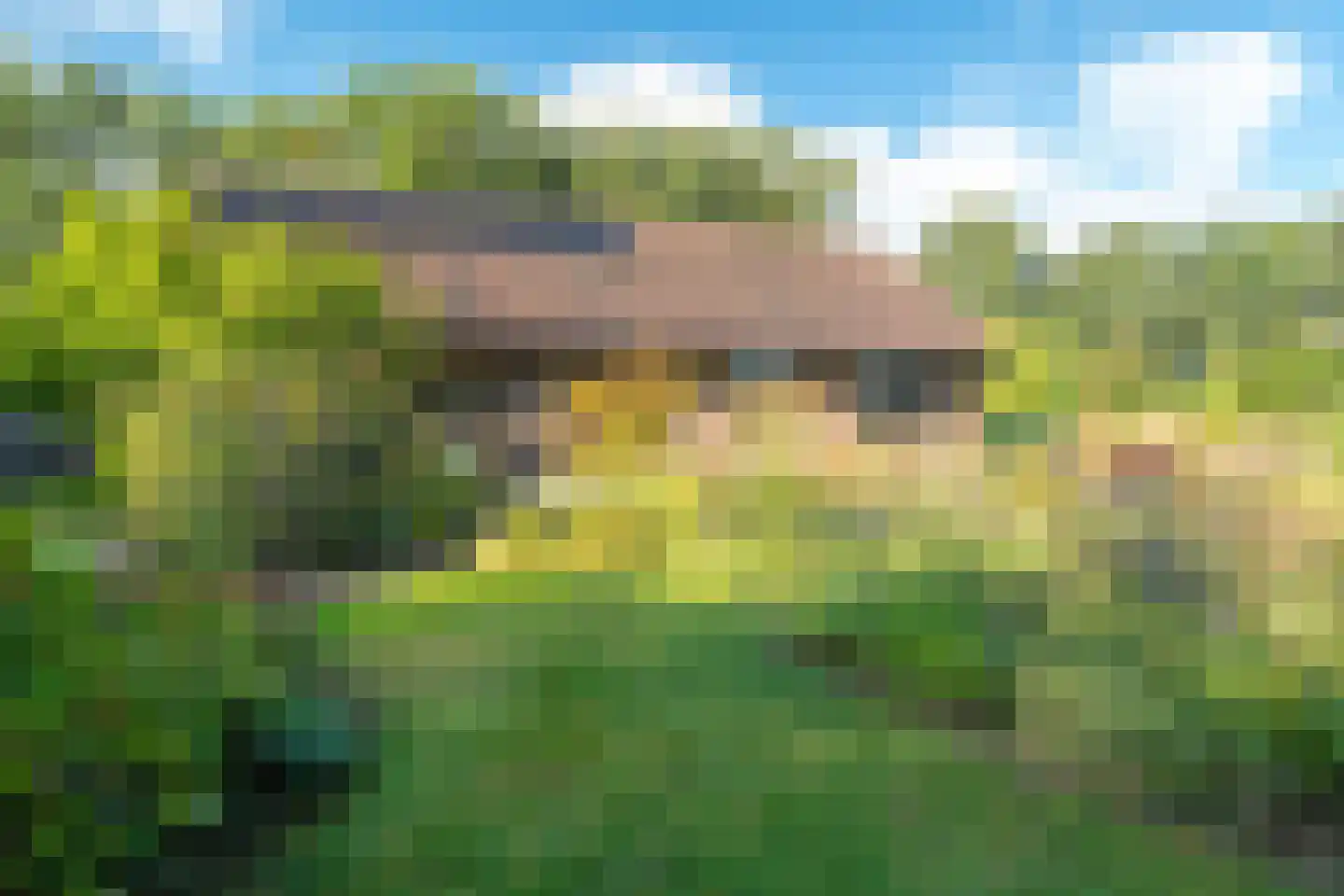 Westerbosje 2 Exloo thumbnail 12
