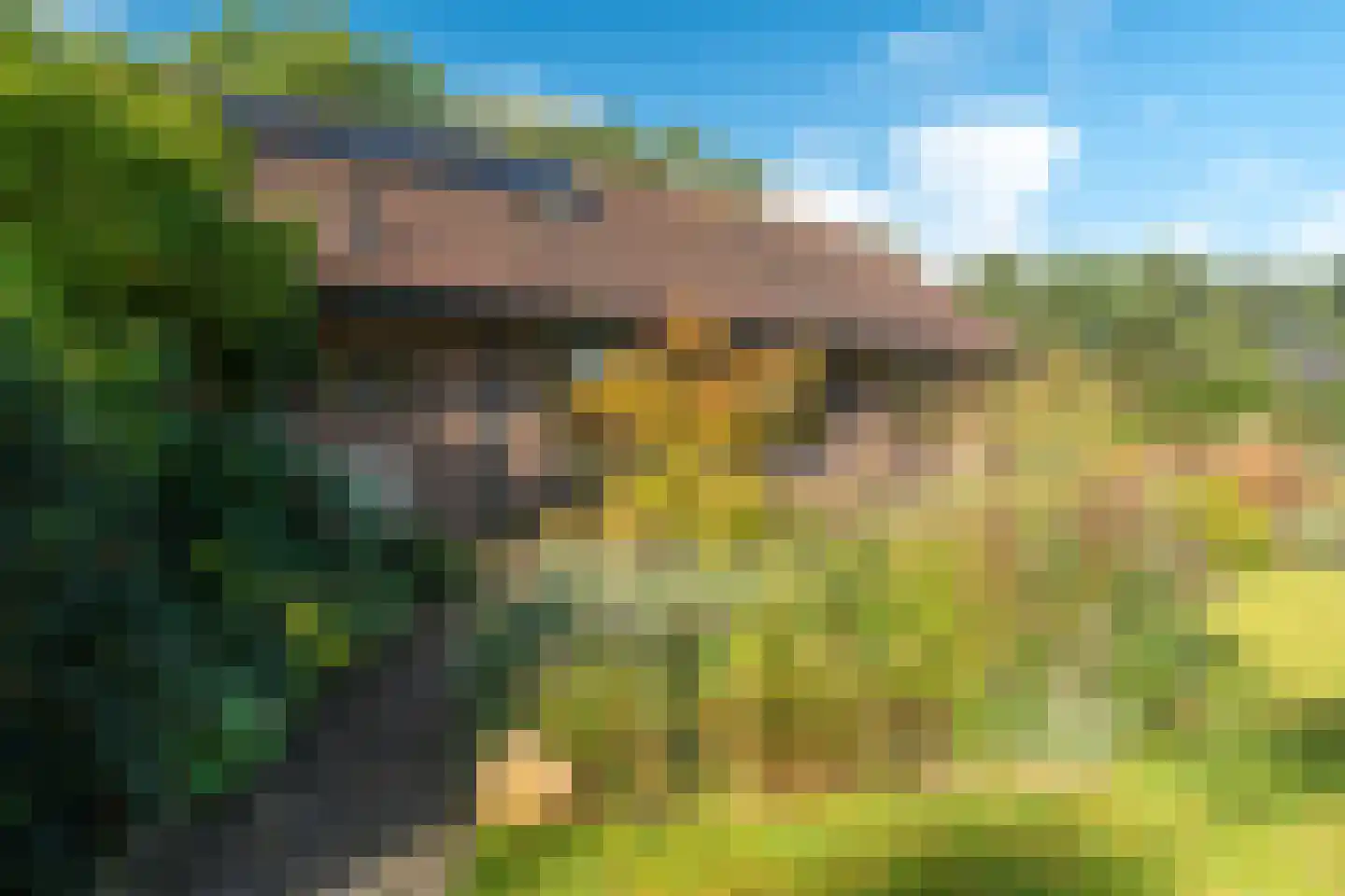 Westerbosje 2 Exloo thumbnail 13