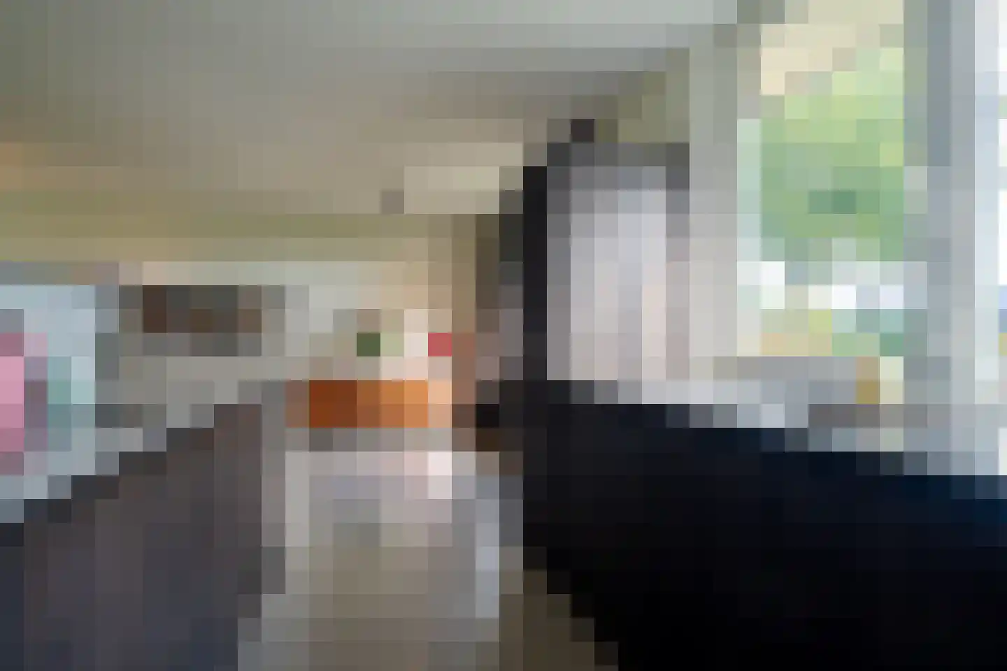 Westerbosje 2 Exloo thumbnail 30