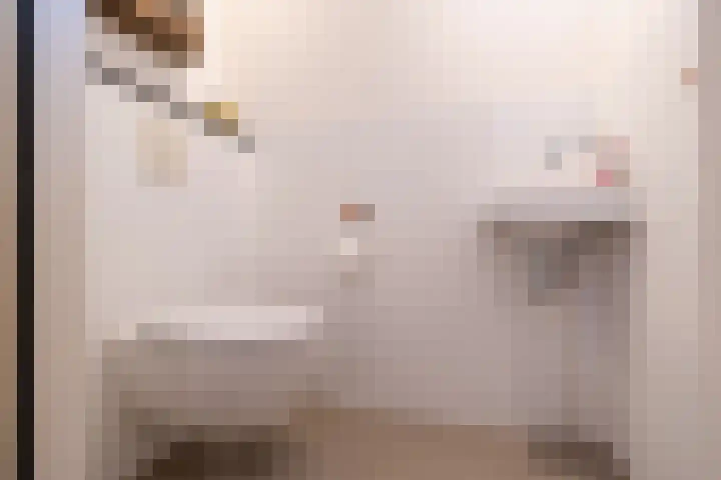 Westerbosje 2 Exloo thumbnail 33