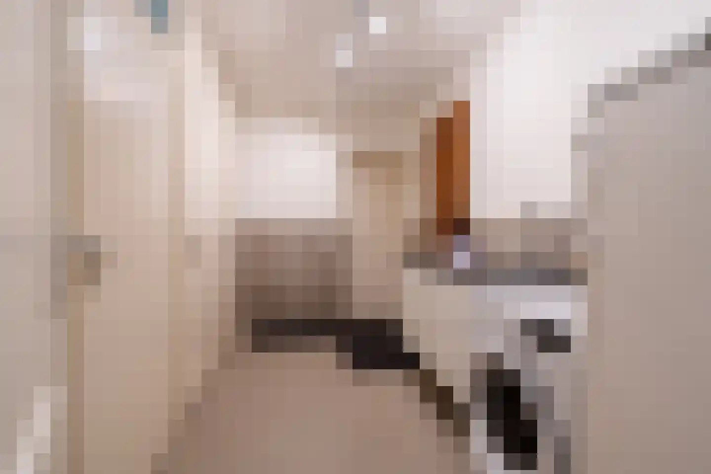Westerbosje 2 Exloo thumbnail 35