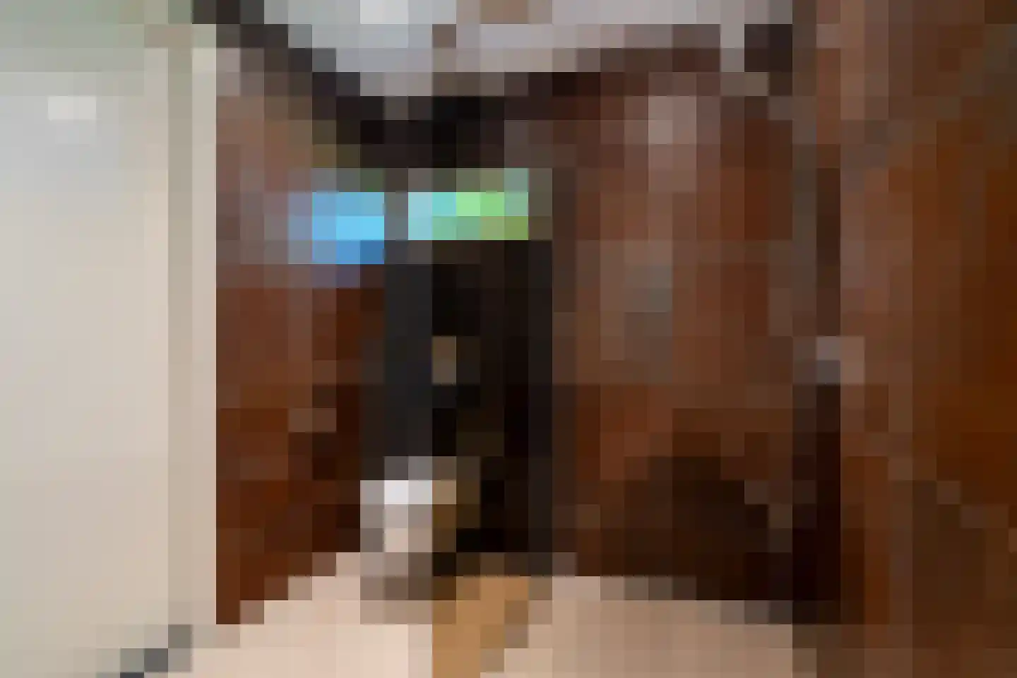 Westerbosje 2 Exloo thumbnail 38
