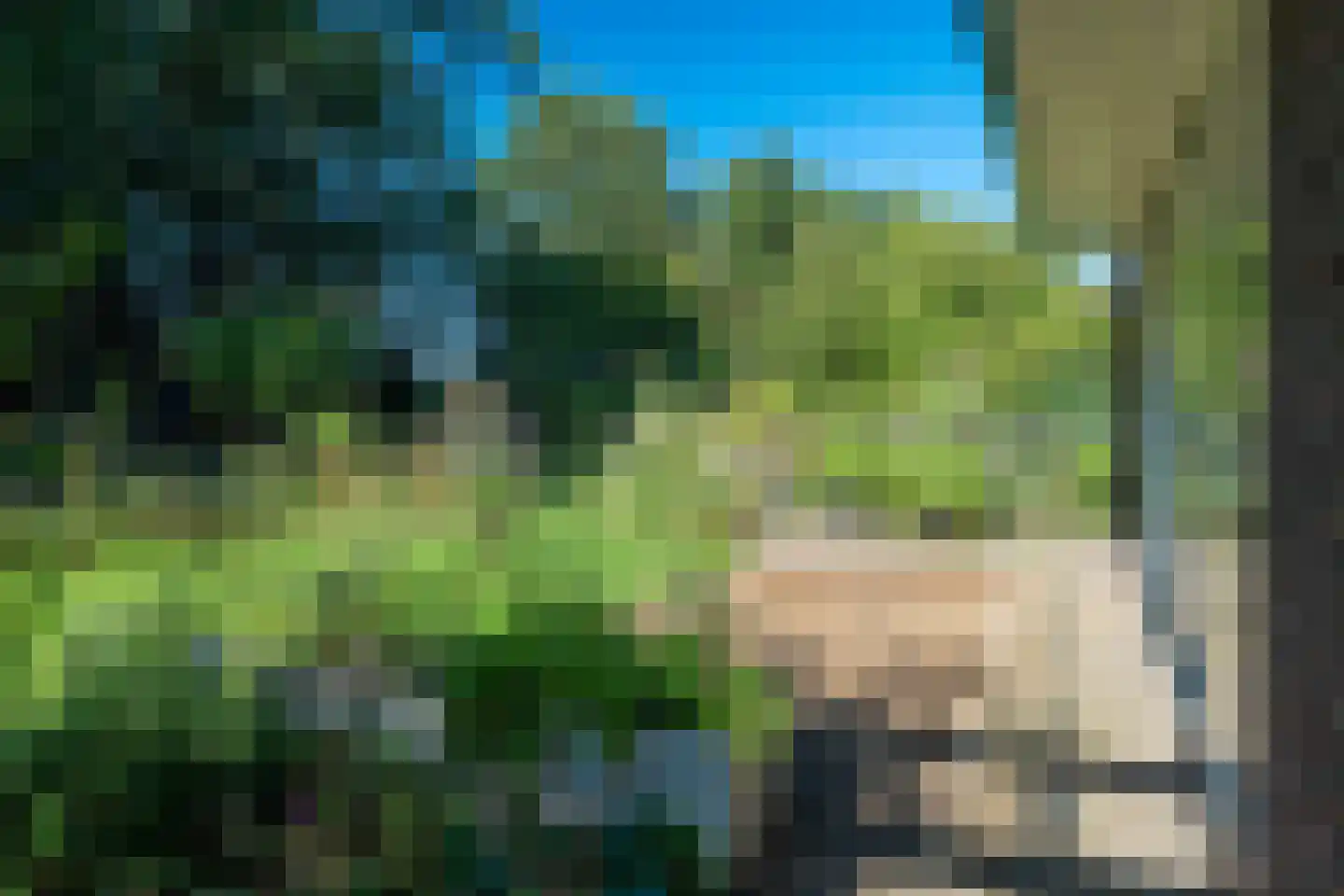 Westerbosje 2 Exloo thumbnail 59