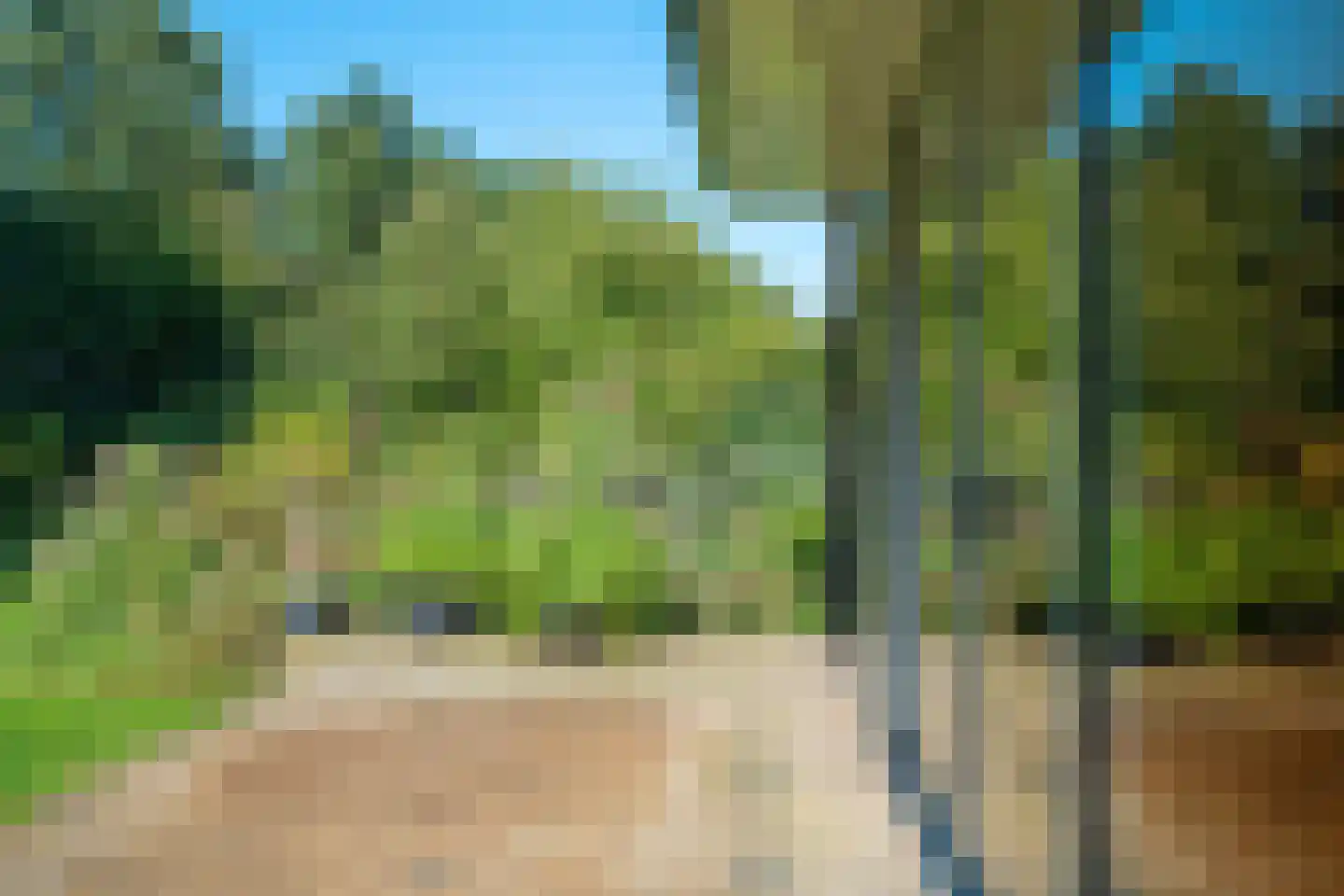 Westerbosje 2 Exloo thumbnail 60