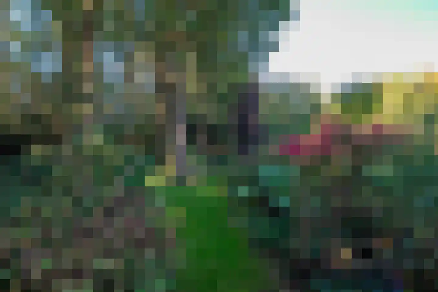 Westerbosje 2 Exloo thumbnail 64