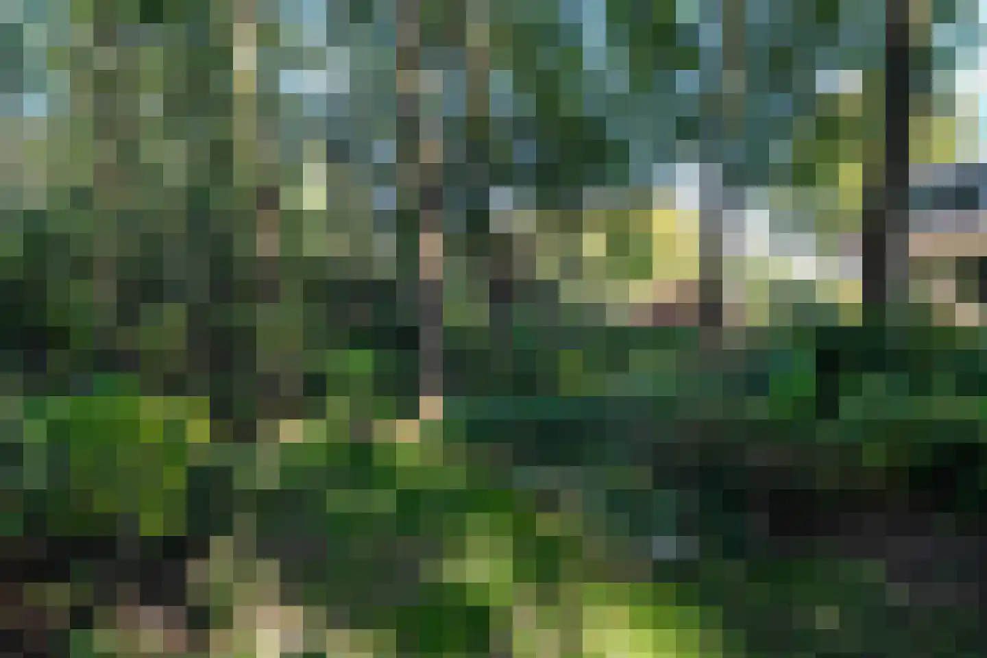 Westerbosje 2 Exloo thumbnail 65