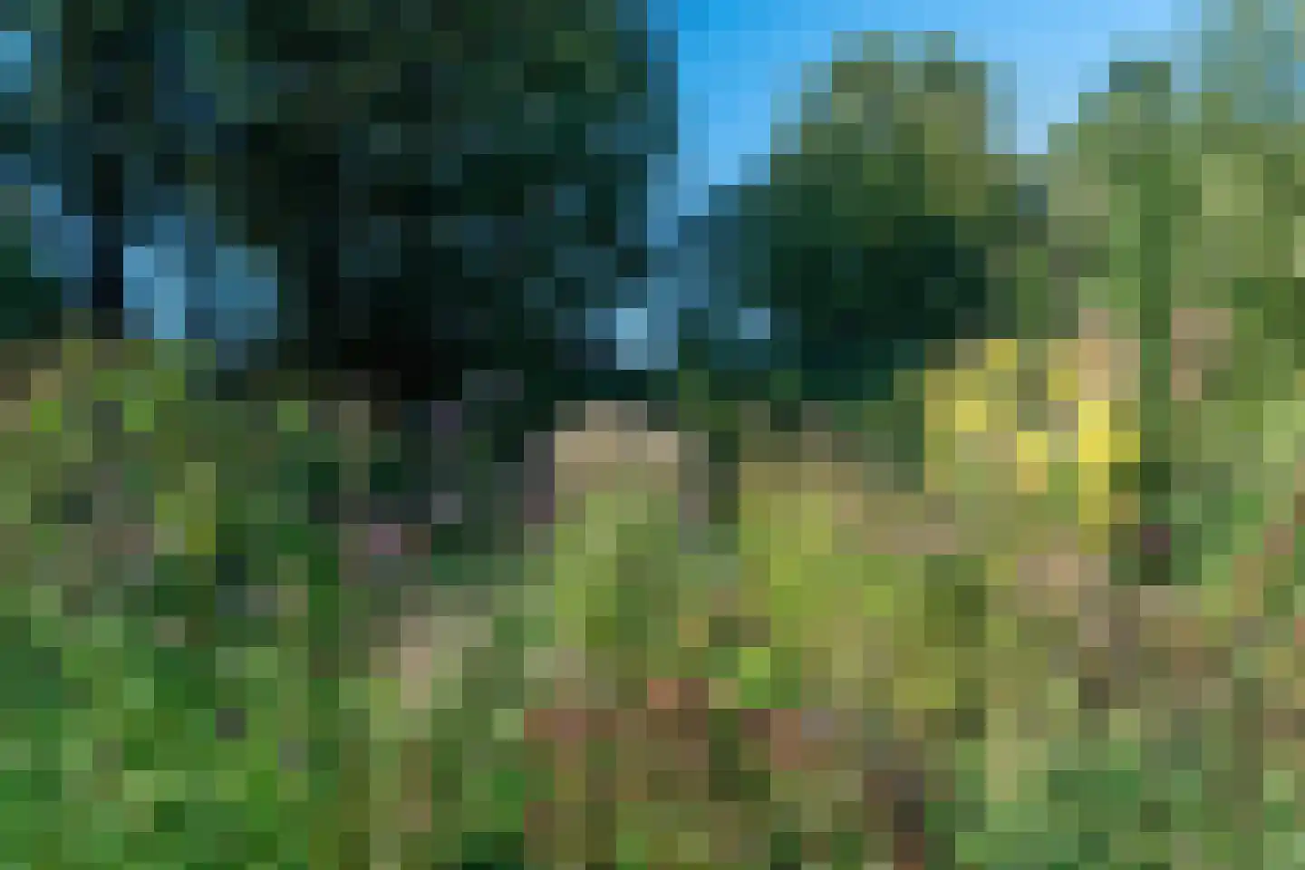 Westerbosje 2 Exloo thumbnail 66