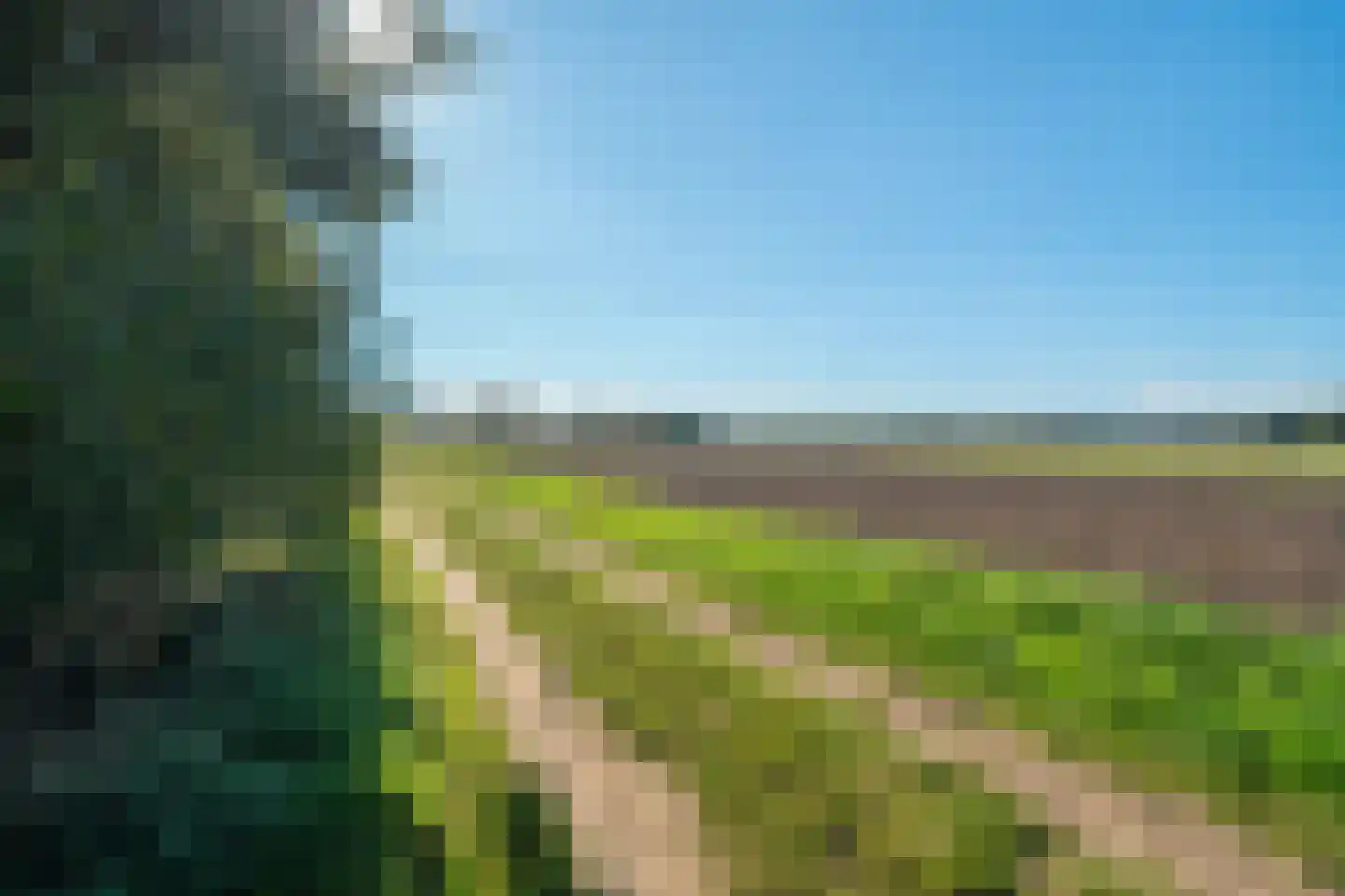 Westerbosje 2 Exloo thumbnail 67