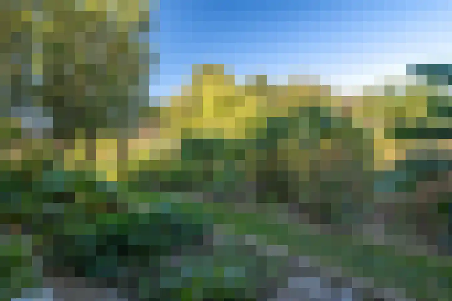 Westerbosje 2 Exloo thumbnail 68