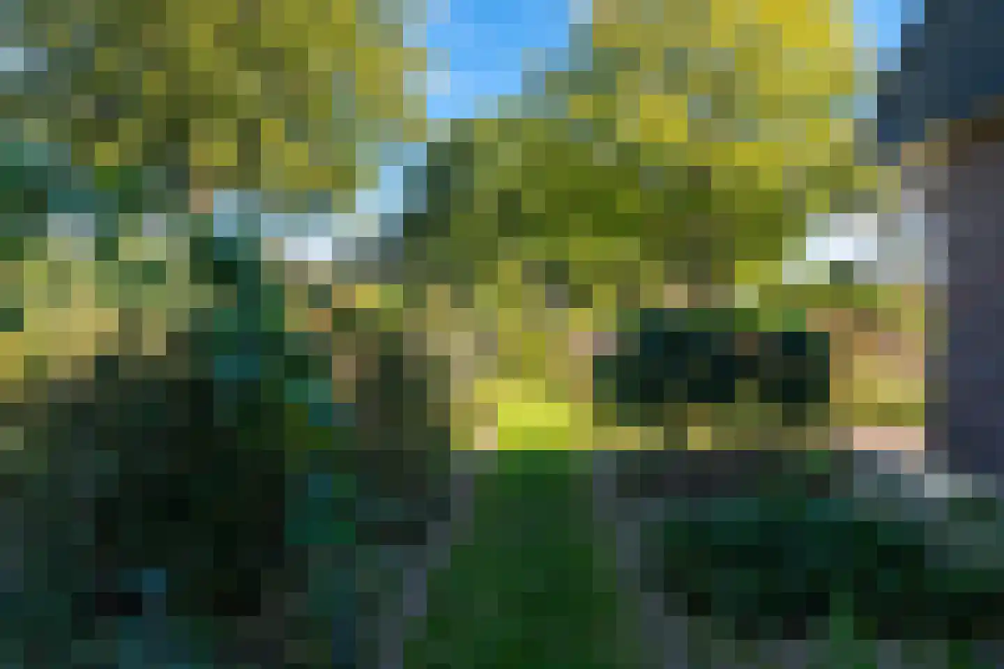 Westerbosje 2 Exloo thumbnail 69