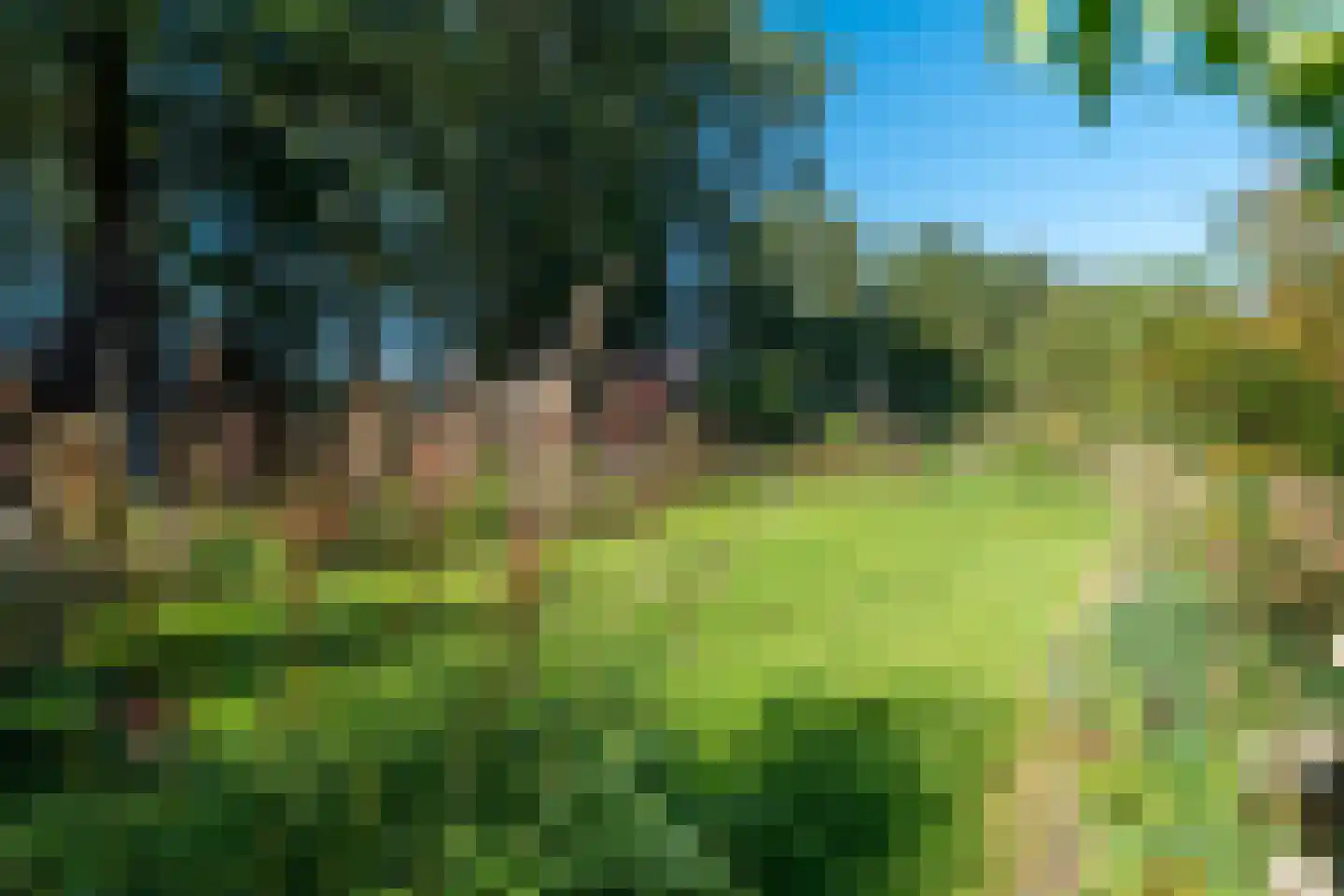 Westerbosje 2 Exloo thumbnail 7