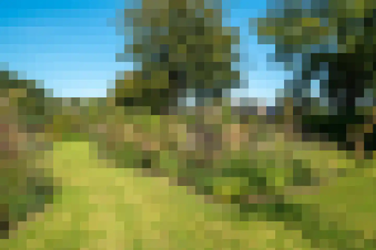 Westerbosje 2 Exloo thumbnail 71