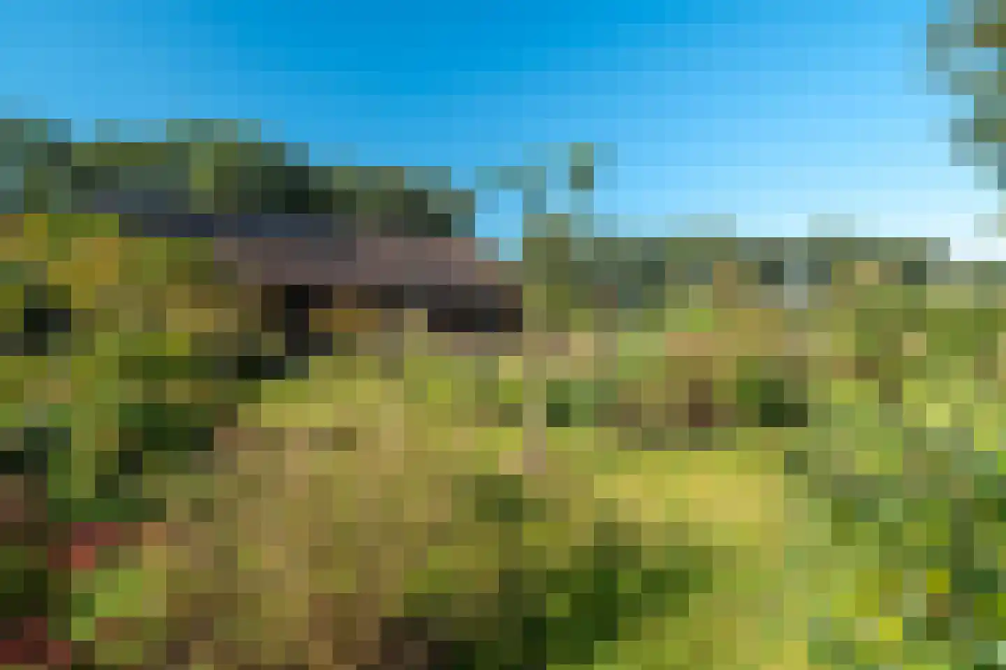Westerbosje 2 Exloo thumbnail 72