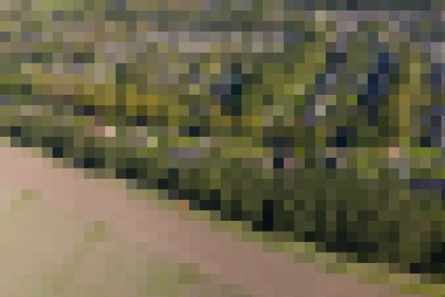 Westerbosje 2 Exloo thumbnail 77