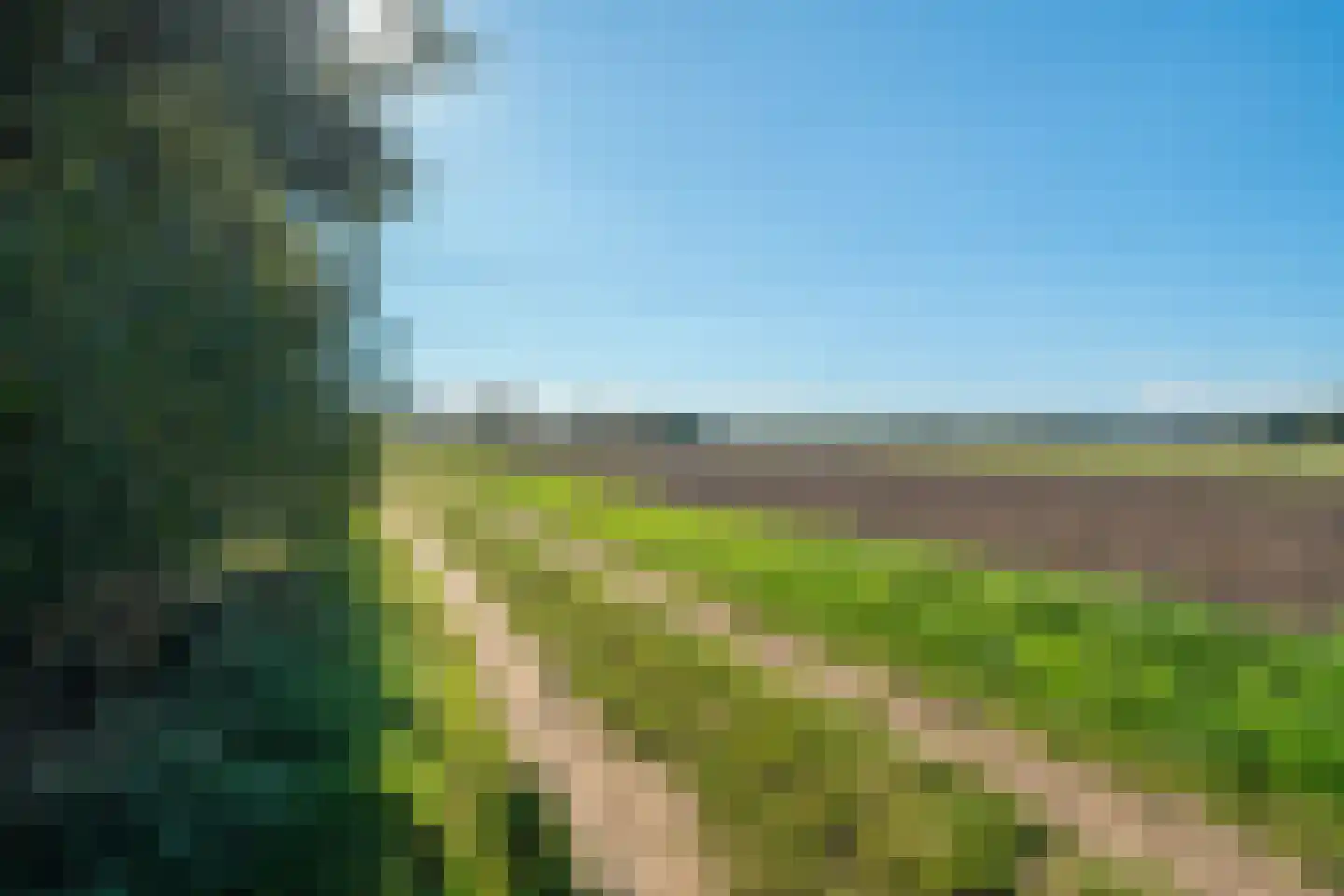 Westerbosje 2 Exloo thumbnail 8