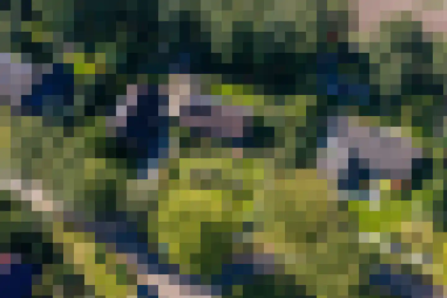 Westerbosje 2 Exloo thumbnail 9