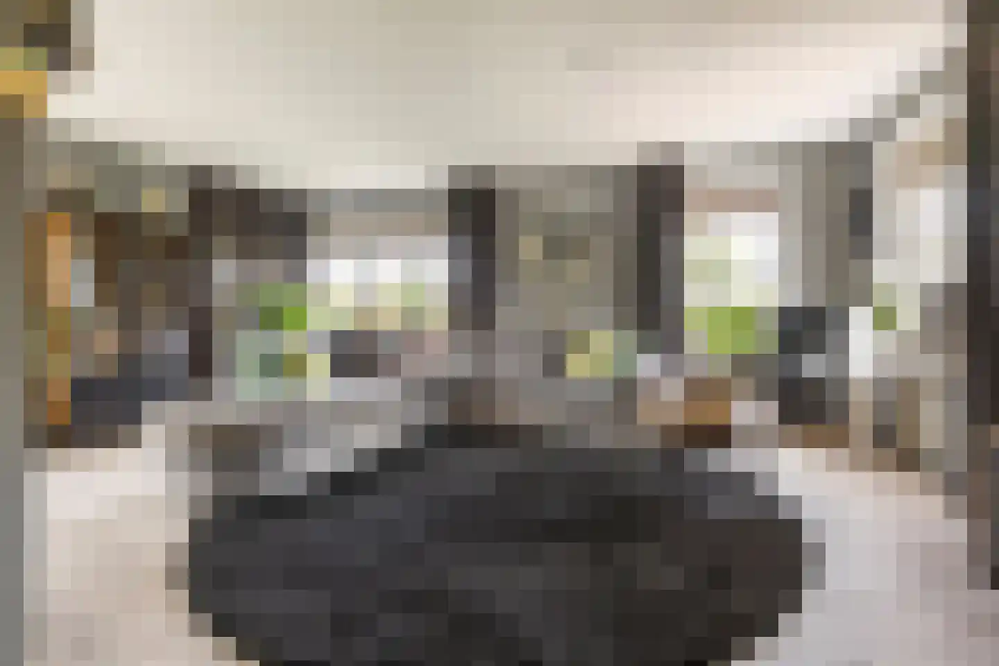 Westerbouwte 11 Muntendam thumbnail 10