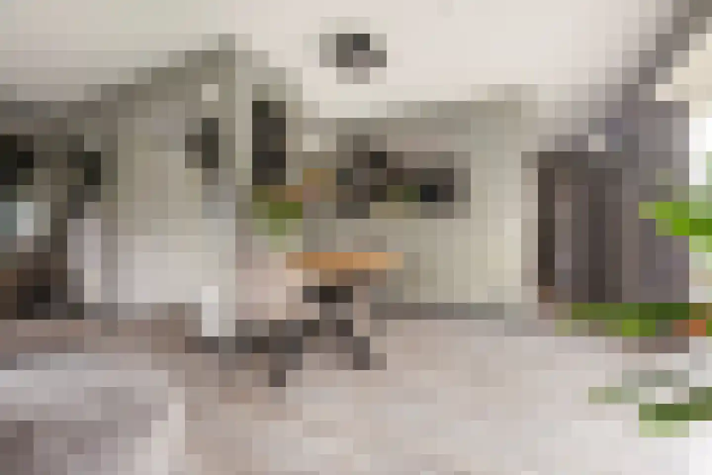 Westerbouwte 11 Muntendam thumbnail 15
