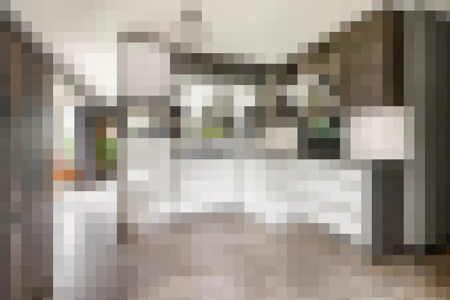 Westerbouwte 11 Muntendam thumbnail 17