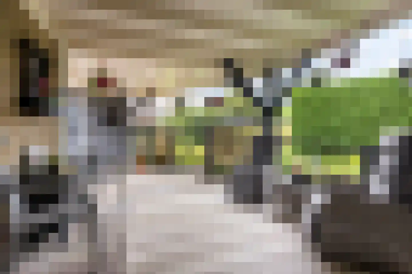 Westerbouwte 11 Muntendam thumbnail 33