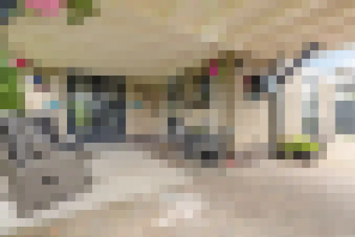 Westerbouwte 11 Muntendam thumbnail 34