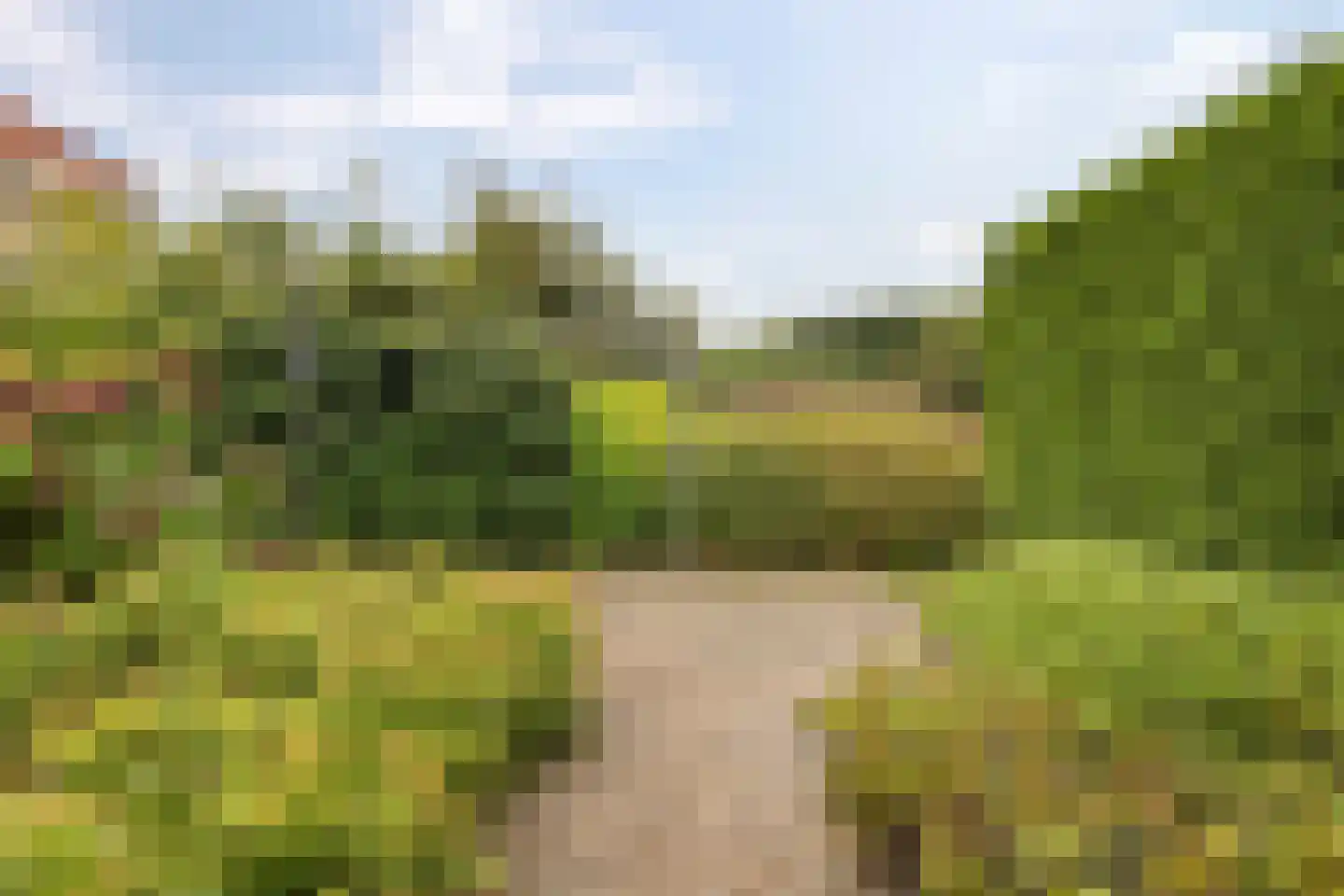 Westerbouwte 11 Muntendam thumbnail 35
