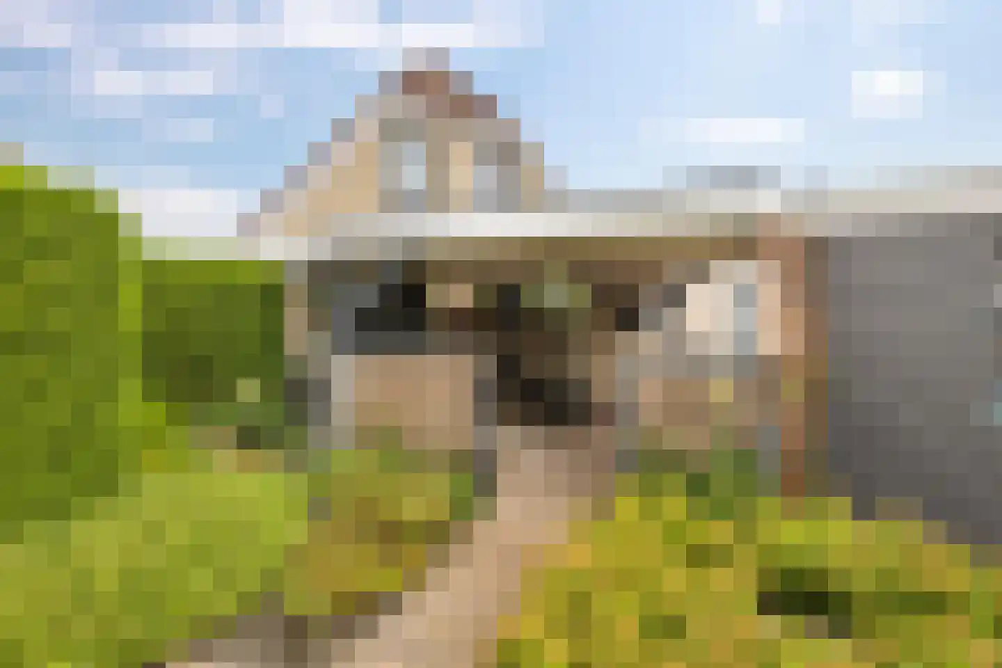 Westerbouwte 11 Muntendam thumbnail 37