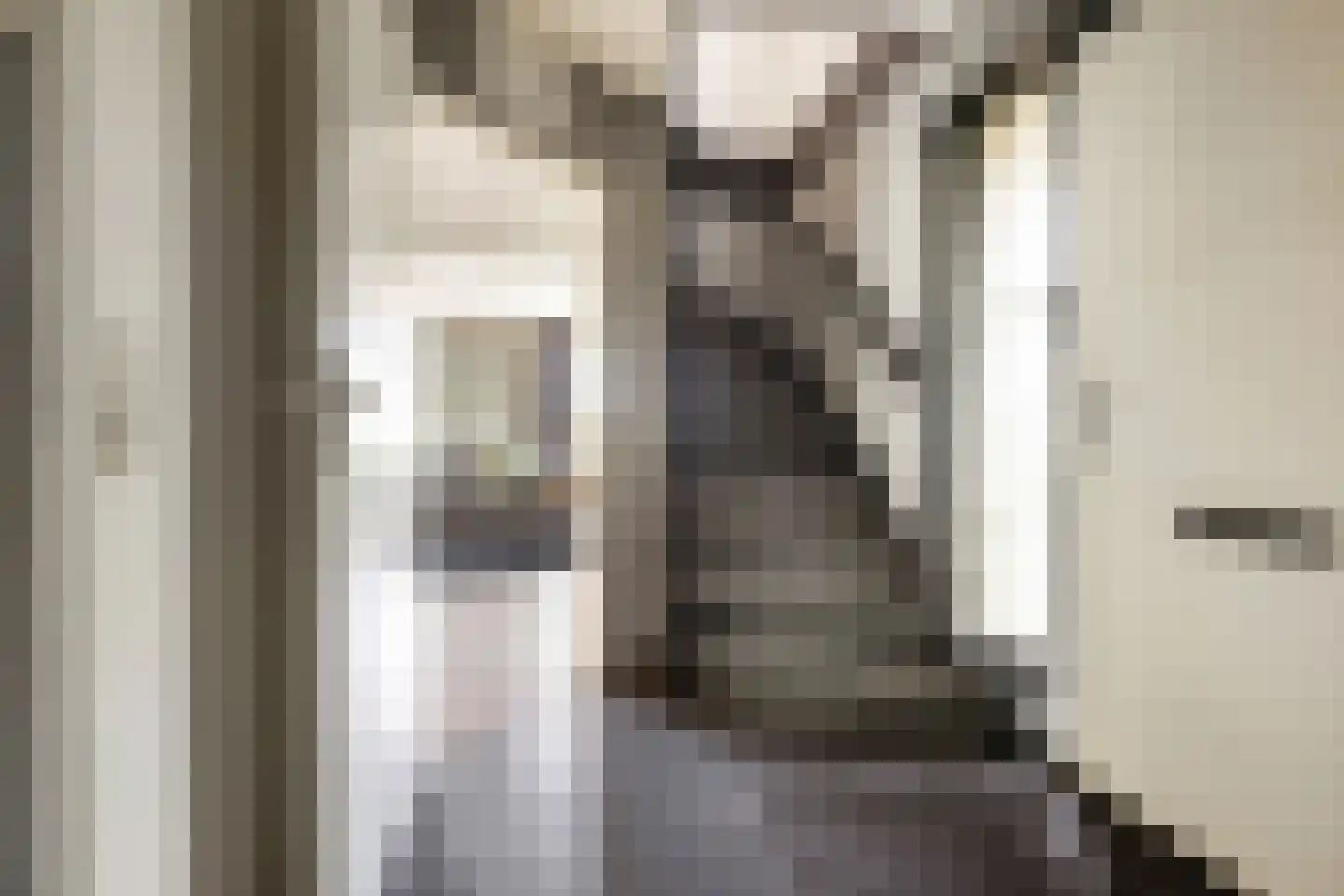 Westerbouwte 11 Muntendam thumbnail 9