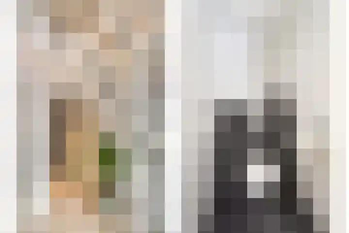 Westerbrink 6 Langelo thumbnail 10
