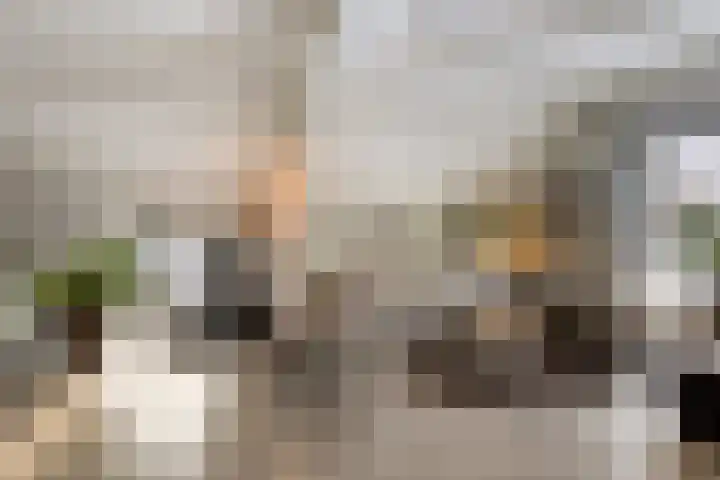 Westerbrink 6 Langelo thumbnail 12