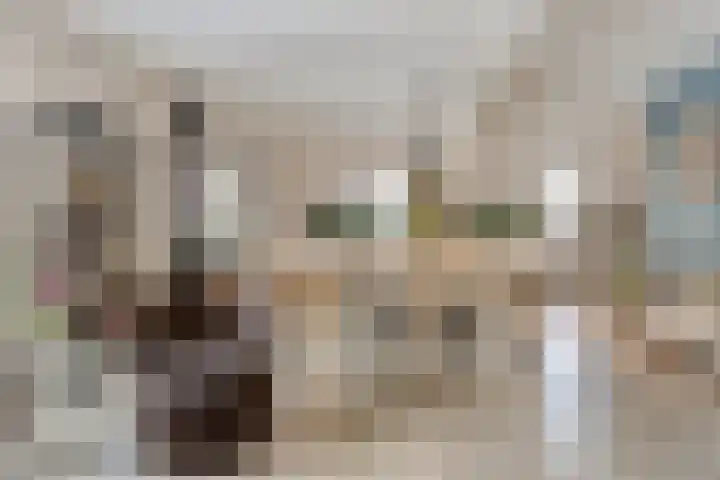 Westerbrink 6 Langelo thumbnail 15