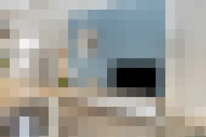 Westerbrink 6 Langelo thumbnail 16