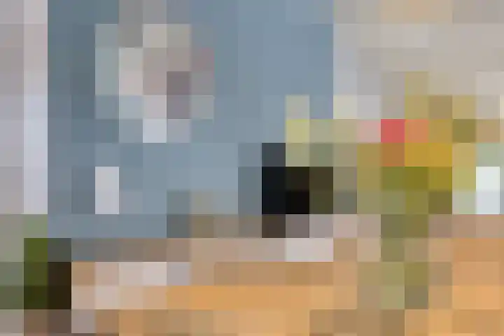 Westerbrink 6 Langelo thumbnail 21