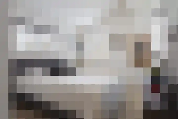 Westerbrink 6 Langelo thumbnail 27