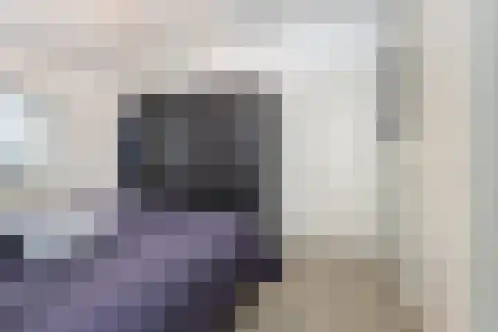 Westerbrink 6 Langelo thumbnail 32