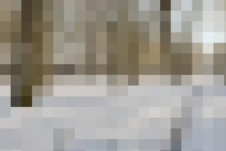 Westerbrink 6 Langelo thumbnail 4