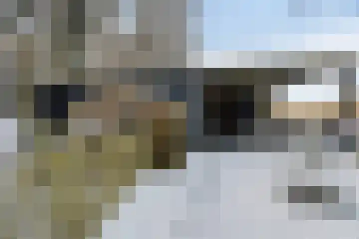Westerbrink 6 Langelo thumbnail 57