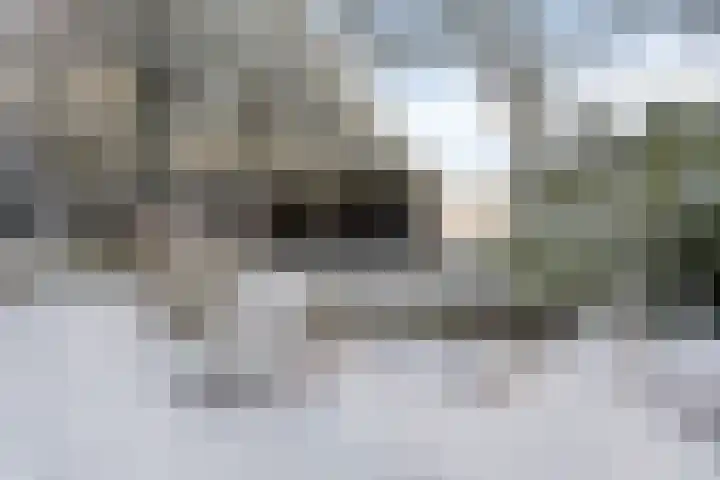 Westerbrink 6 Langelo thumbnail 60