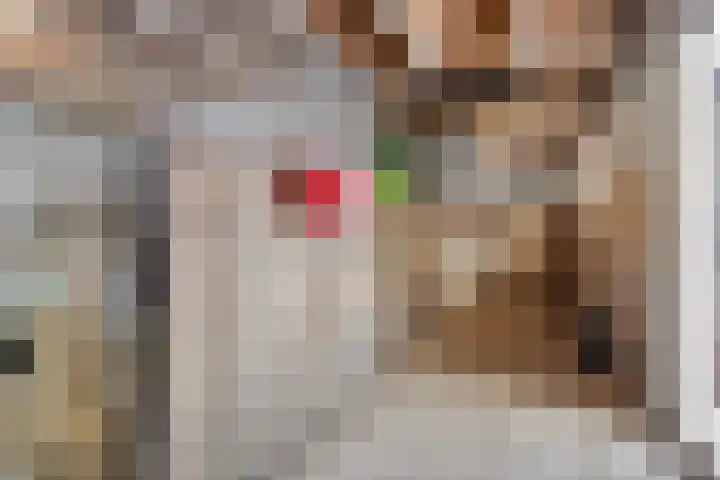 Westerbrink 6 Langelo thumbnail 64