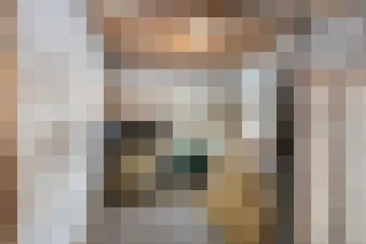 Westerbrink 6 Langelo thumbnail 65