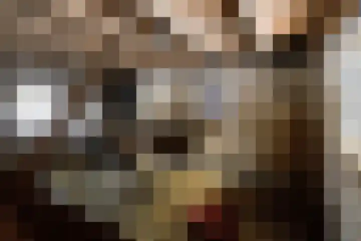 Westerbrink 6 Langelo thumbnail 66