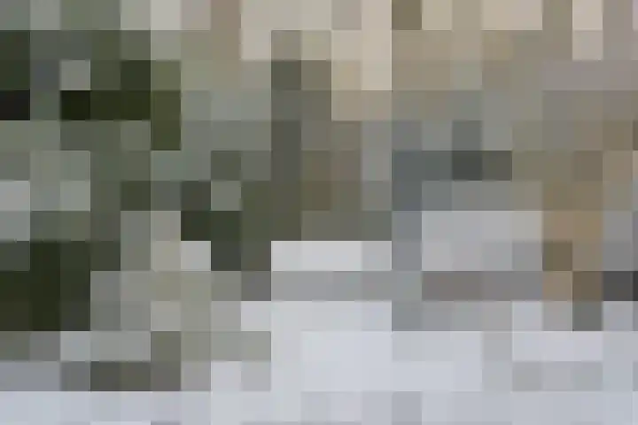 Westerbrink 6 Langelo thumbnail 69