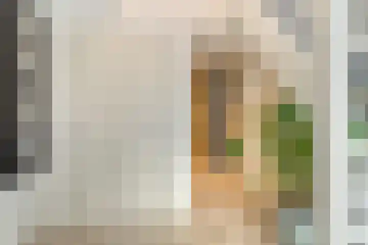 Westerbrink 6 Langelo thumbnail 8